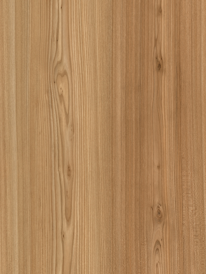 ELM